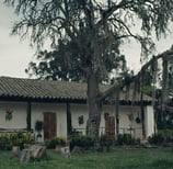 NUBES GRISES SOPLAN SOBRE EL CAMPO VERDE -2023- CHIRIMOYA FILMS