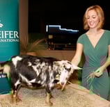 LA PREMIERE OF HEIFER INTERNATIONAL'S "12 STONES"