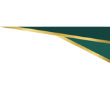 a decorative element for a tampa bay commercial real estate website