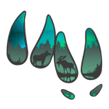 a group of four different types of animals in the woods