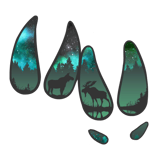 a group of four different types of animals in the woods