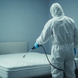 expert pulvérise un matelas contre les punaises de lit