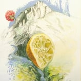 Pressé comme un citron ( La Roberche)