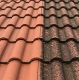 Dachreinigung-vergelichsbild-vorher-nachher-reinigung