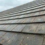 roof tiles that have been professionally cleaned 