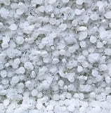 5D White Rose Backdrop