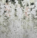 Floral Backdrop