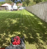 Entretien de jardin