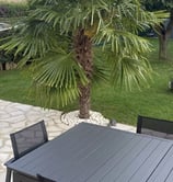 aménagement de terrasses