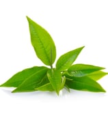Чай с травами, Сбор трав, для здоровья магазин в Испании TeaShop