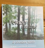 Forest Escape a chosen path book