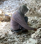 Image gallery: workers breaking and selecting stones for mosaic making