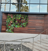 a building with a wall of plants on the side of it
