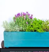 indoor herb planter box long slim tube made from  colour painted wood