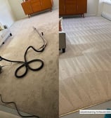 wall to wall carpet cleaning fort lauderdale