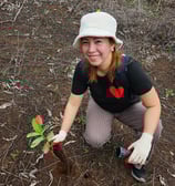 woman planting tree on guam