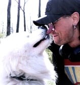 a white samoyed dog licks the face of a man wearing glasses and a black baseball cap