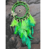agamya green dreamcatcher gradient