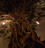 árbol para interiores con luces 