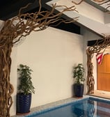 árbol para interiores con piscina 