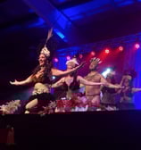 a group of dancers performing a show