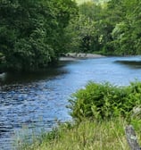 The river Dyfi from the bottom all grass site