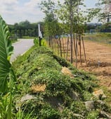 Pembekal Rumput Malaysia