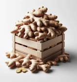 Ginger for international export from India