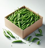 Green Chilli for international export from India