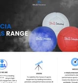 a website page with a picture of boccia ball