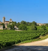 Vignoble