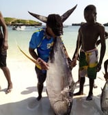 a man holding a fish on the beach