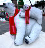 Alegoria oso polar