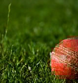 Cricket Ball