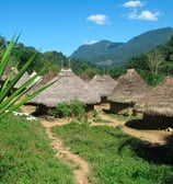 Pueblos nativos culturas ancestrales