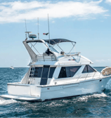 yate bayliner 44 en renta cabo san lucas popa