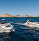 yate sea ray 32 en renta cabo san lucas