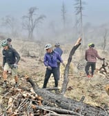 a group of people standing around a pile of logs