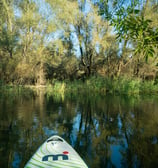 paddle board on lake