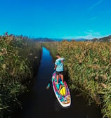 a man is standing on a paddle board in narrow chanel