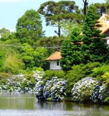 Fotos de outras excursões anteriores