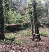land_culture_project_waterworks_valley