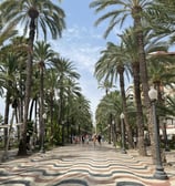 Alicante, Spanien Stadtmitte Palmen