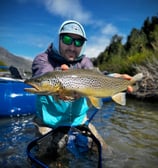 trucha marron rio azul
