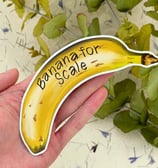 A banana sticker with banana for scale written on it