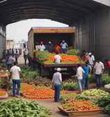 A rural landscape featuring a large agricultural building with four metallic silos. In the foreground, a green tractor is connected to farming equipment, preparing a field. The background includes flat, open land with sparse trees and a clear blue sky.
