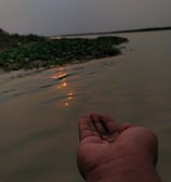 sunsets water 