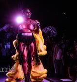 majestic black drag queen with chiffon covering draped behind her backlit by spotlight.