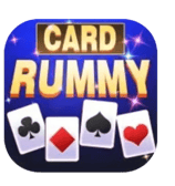 Pakistan Card Rummy Game Download