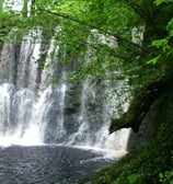 Glenariff waterfalls and Forrest park Northern Ireland